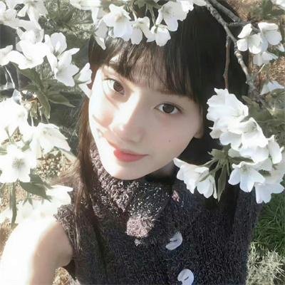 我爱莎拉简