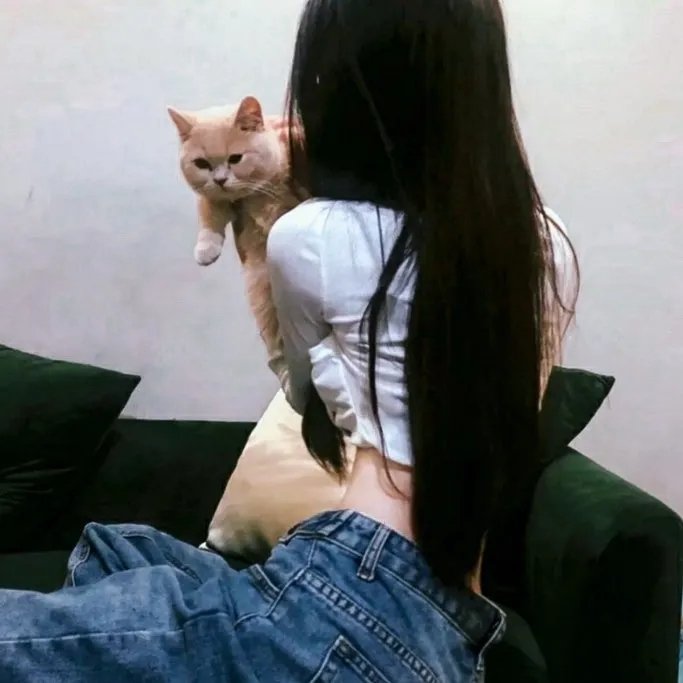探戈情未了